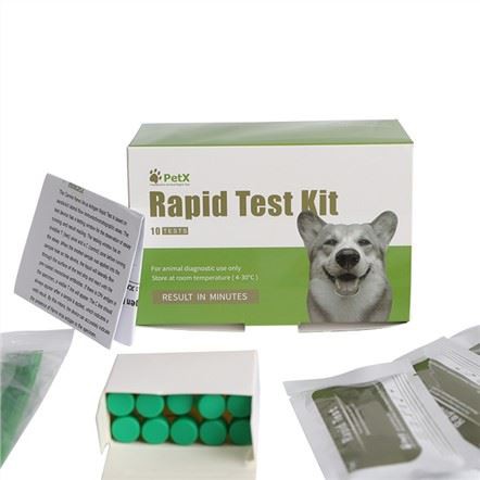 Prueba de antígeno del virus corona canino