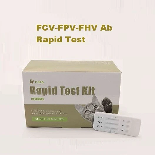 FHV-FCV-Prueba FPV Ab