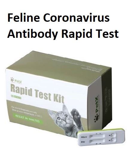 Prueba rápida de anticuerpos contra el coronavirus felino